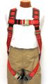 Express Harness